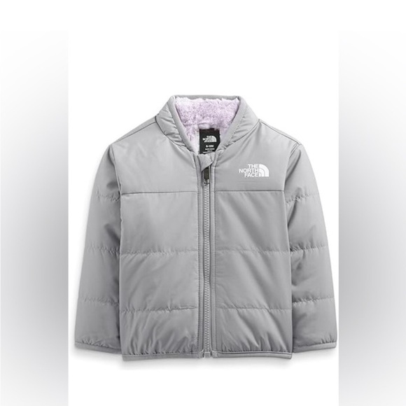 The North Face Other - The North Face Gray Puffer Jacket